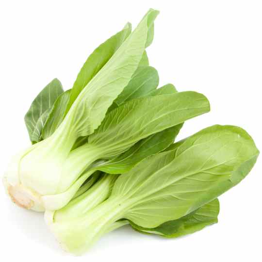 pak-choi